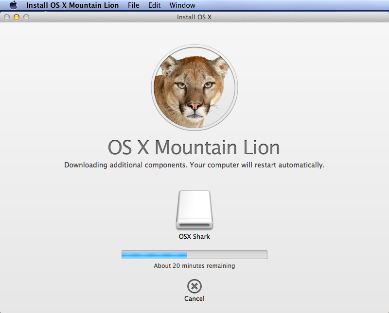 Install mac os x lion dmg download